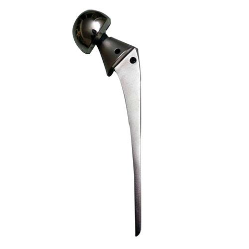 Bipolar Prosthesis – Remak Ortho Hip Arthroplasty