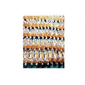 Cervical Vertebrae Spine Model for Training