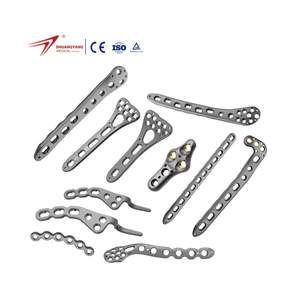 Orthopaedic Implants Trauma Volar Radius Locking Plate Multi-axial