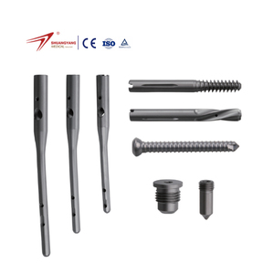 Intramedullary Nail PFNA Proximal Femoral Fixation Surgery