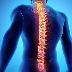 Spinal Implants – Pedicle Screws, PEEK Cages & Cervical Plates