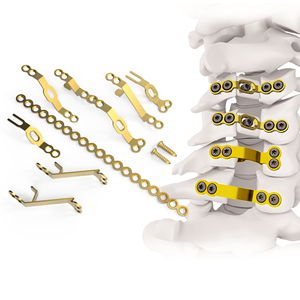 Titanium Cervical Laminoplasty Plate System