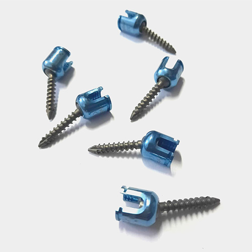 Lateral Mass Screw – Posterior Cervical System