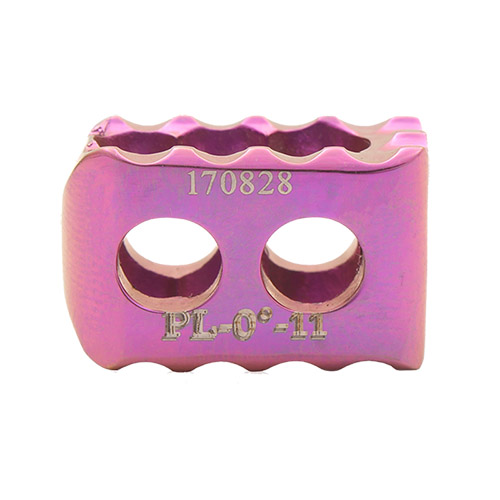 PLIF Cage Standard Design