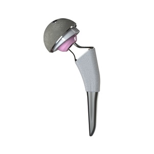 Orthopedic Titanium Hip Joint Prosthesis Implant Total Hip Replacement Surgery Veterinary Instrument